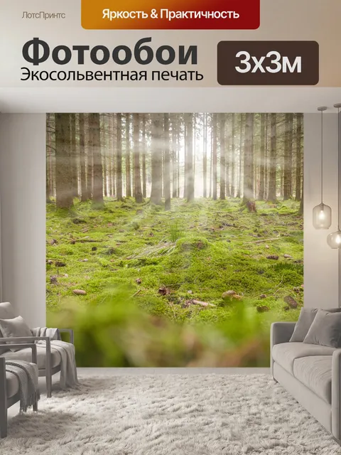 Фотообои Лес