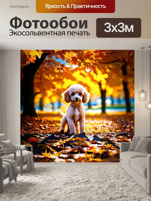 Фотообои миниатюрный пудель нежно играет с яркими осенними листьями в парке