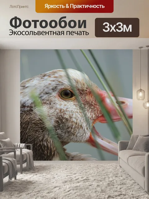 Фотообои Воздух