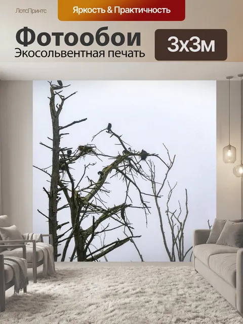 Фотообои Вложенные птицы бакланов