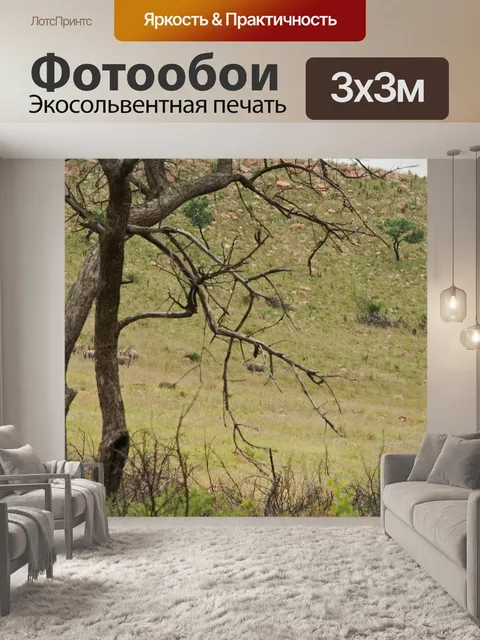 Фотообои канна за деревом на склоне