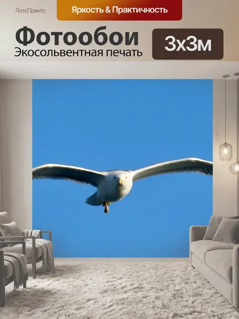 Фотообои Птица