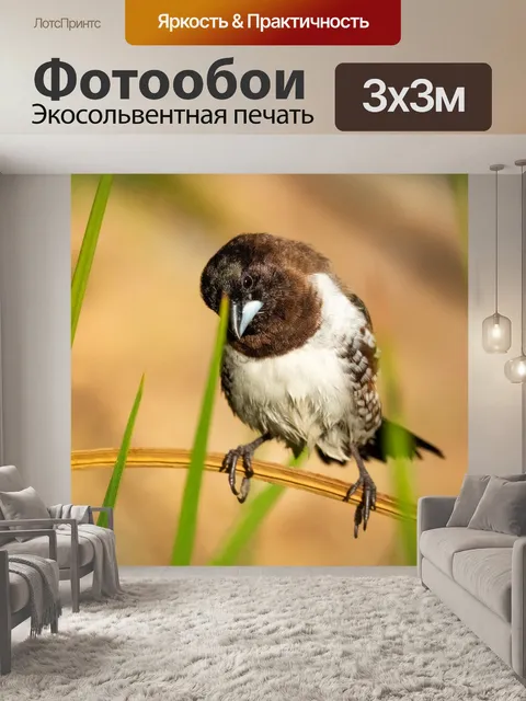 Фотообои Бронзового человечка