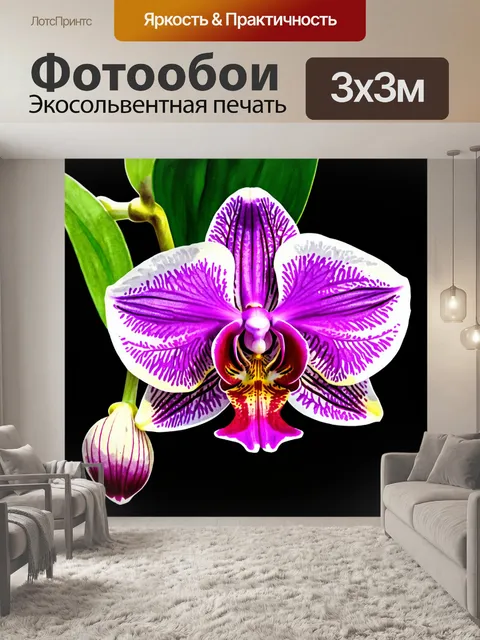 Фотообои орхидея, нарисованная акварелью, с яркими цветами