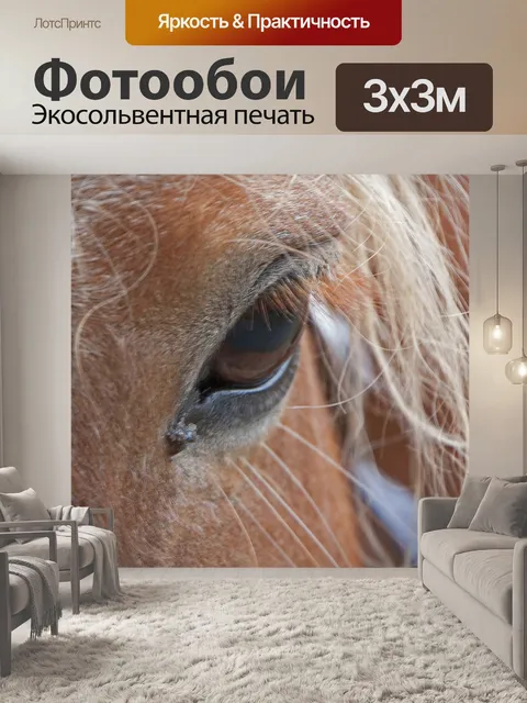 Фотообои Лошадь