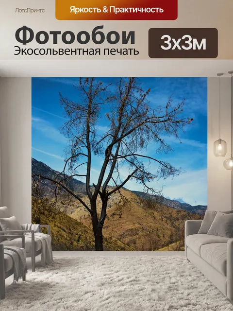 Фотообои Обгоревшие Дерево в пустыне