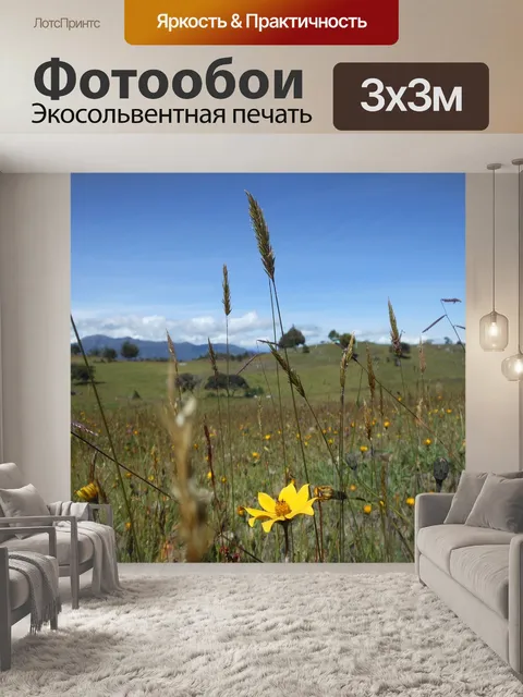 Фотообои Поле