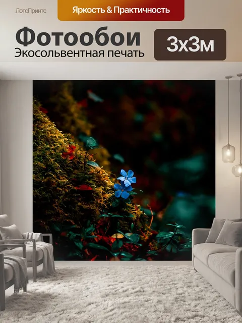 Фотообои Цветок