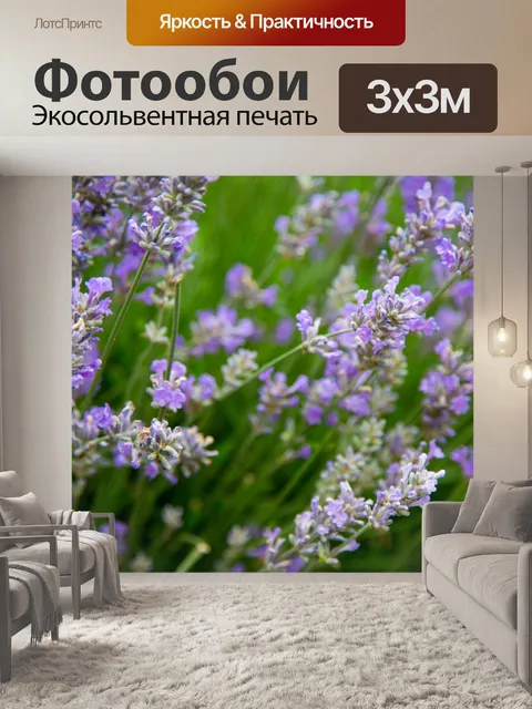 Фотообои Лаванда цветок