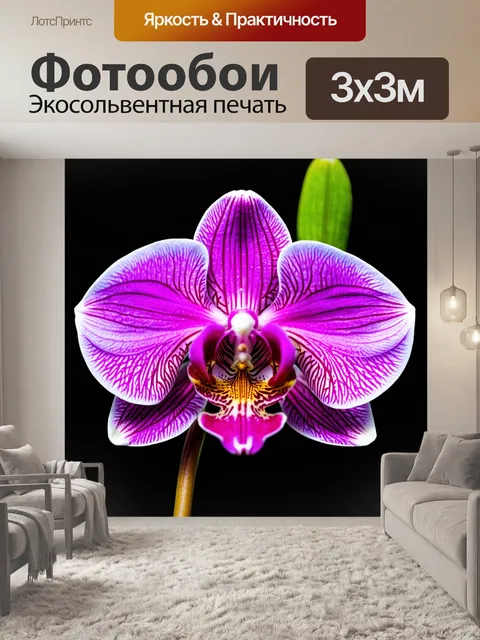 Фотообои орхидея с тонкими линиями, изящный стиль