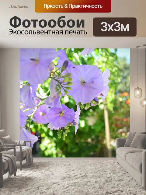 Фотообои Цветы
