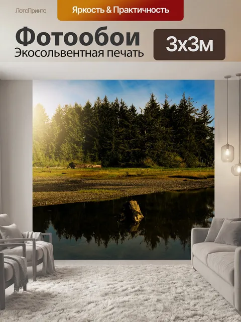 Фотообои Яркое солнце над деревьями