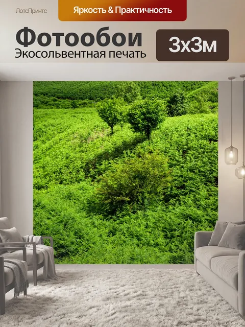 Фотообои Луг полный папоротников