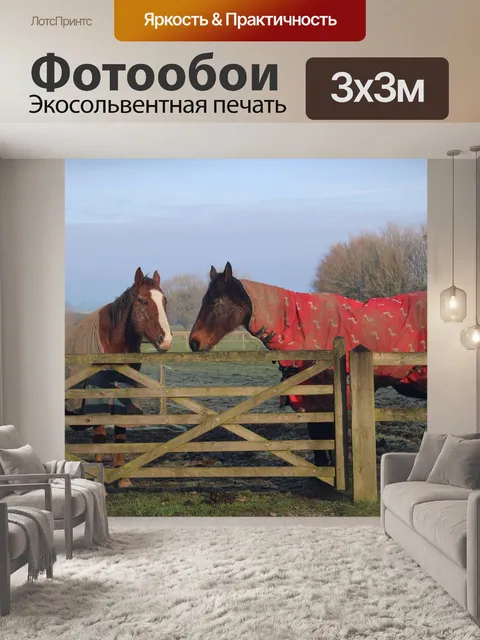 Фотообои Лошади