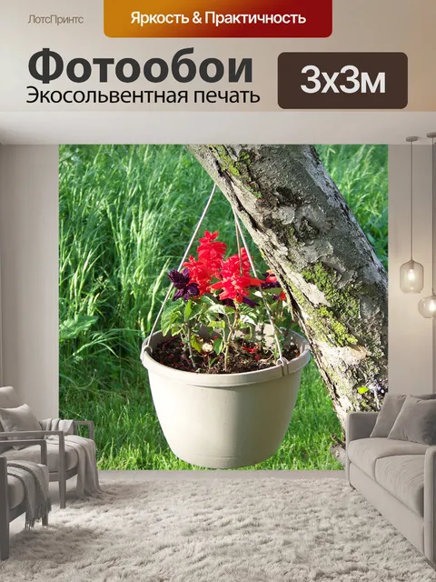 Фотообои Подвесные корзины