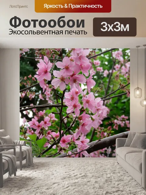 Фотообои Цветение вишни