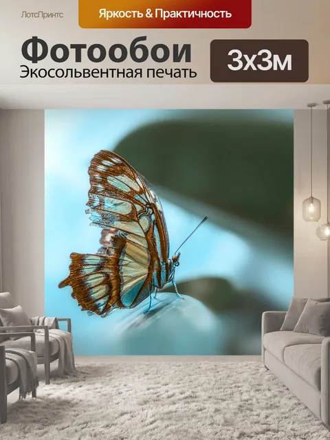 Фотообои Бабочка