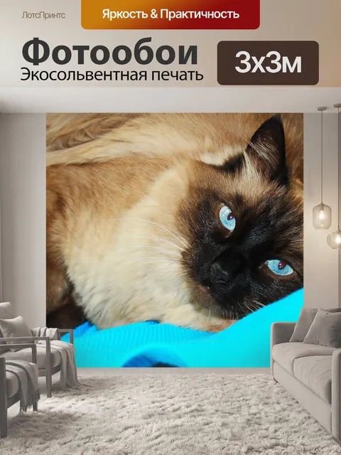 Фотообои Милый