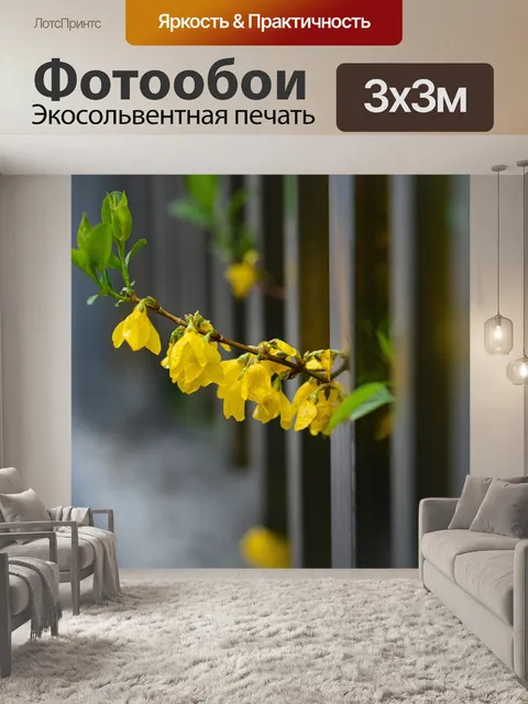 Фотообои Форзиция цветы