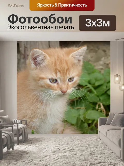 Фотообои Малые