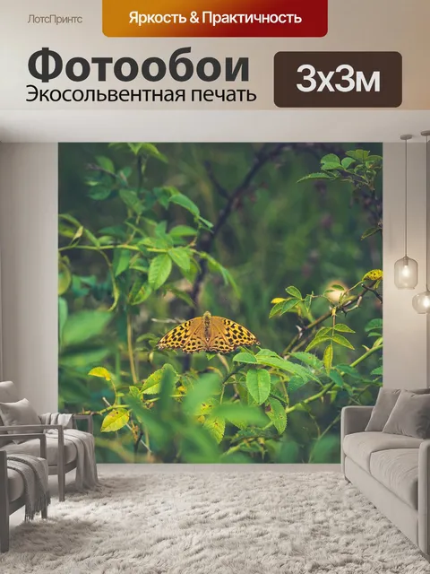Фотообои Бабочка