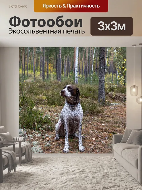 Фотообои Охота