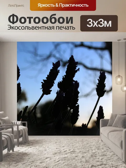 Фотообои силуэты лаванды