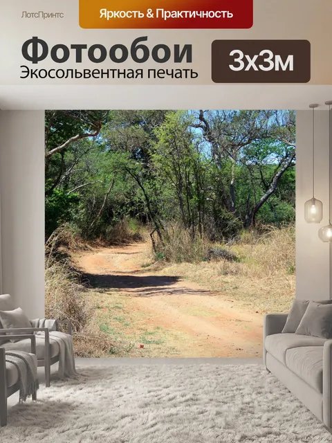 Фотообои Дорога в лес