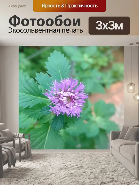 Фотообои Листья