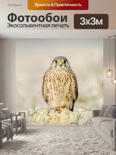 Фотообои Птица