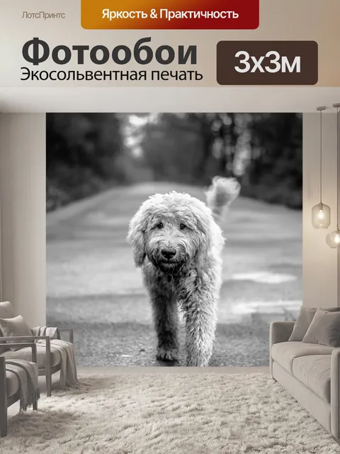 Фотообои Собака