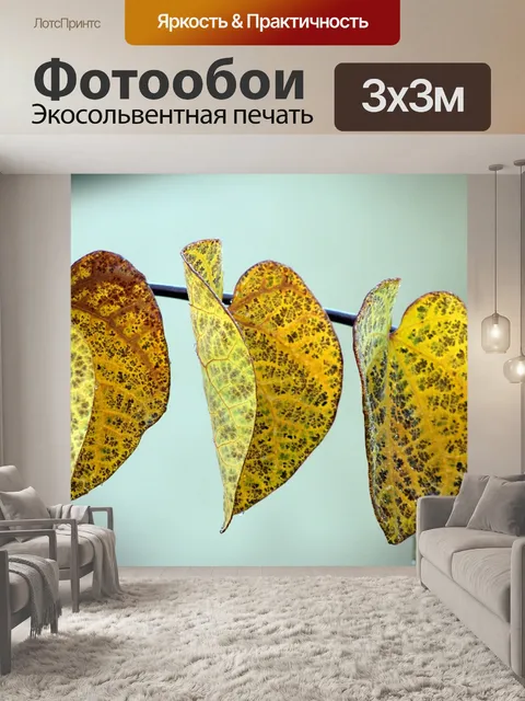 Фотообои Листья