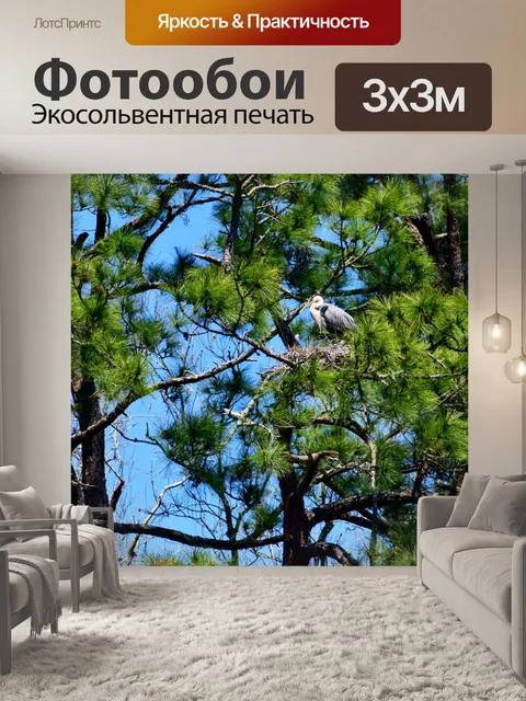 Фотообои Фон гнездования птиц