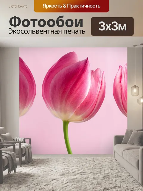 Фотообои Тюльпаны