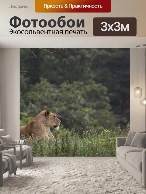Фотообои Львица