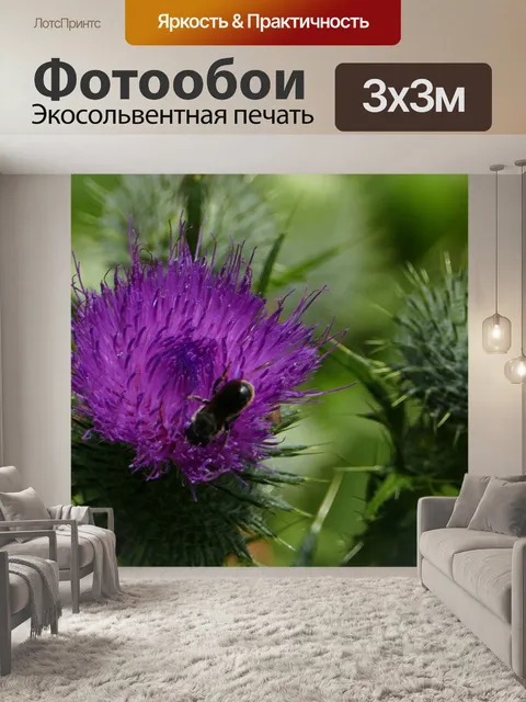 Фотообои Природа