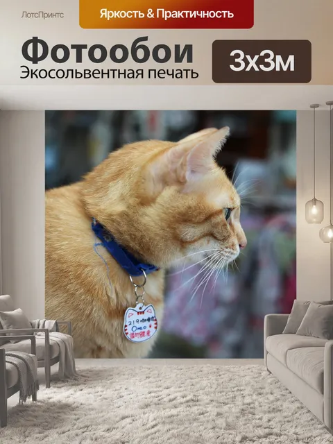 Фотообои Плутать