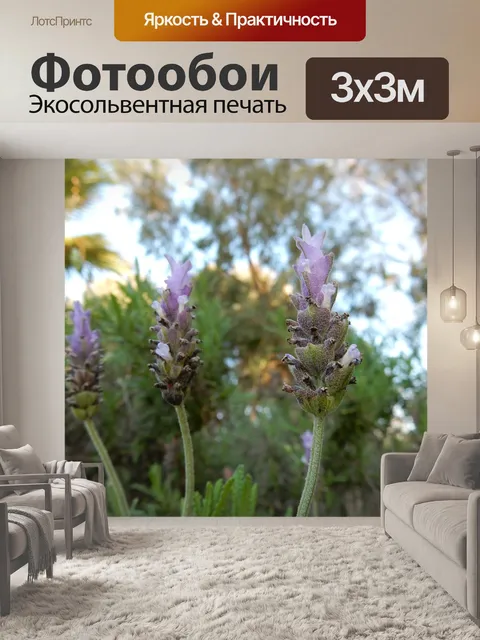 Фотообои Лаванда