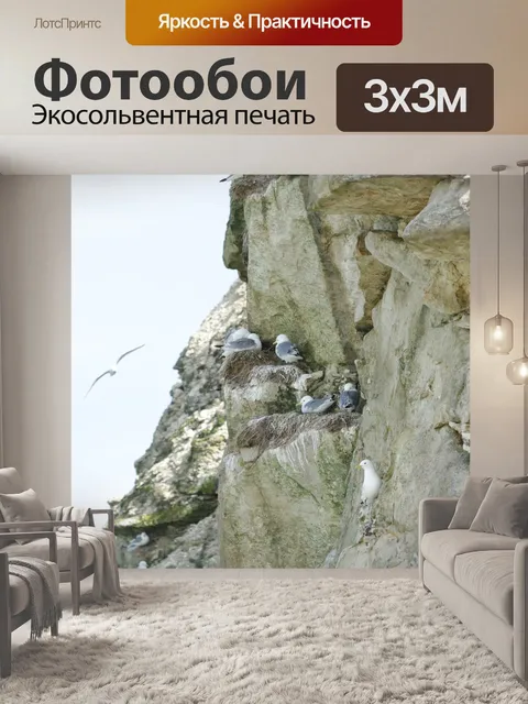 Фотообои Птицы