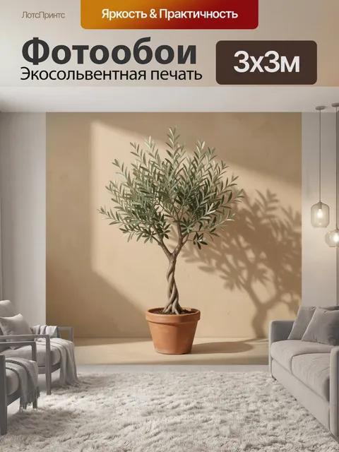 Фотообои Оливковое дерево в горшке
