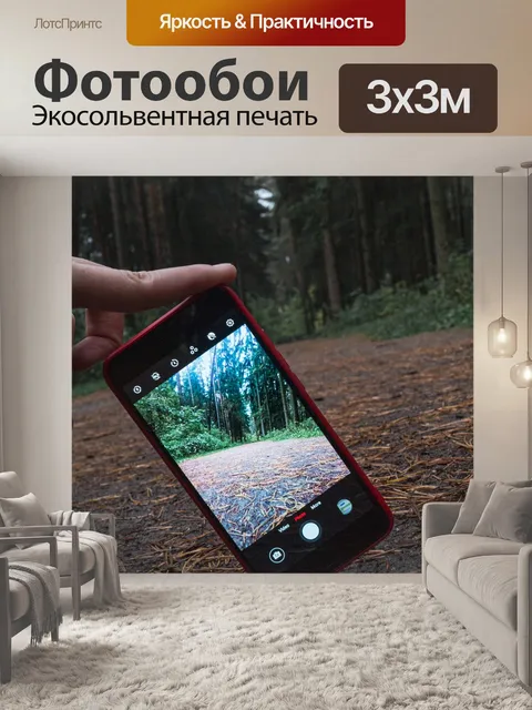 Фотообои Лес