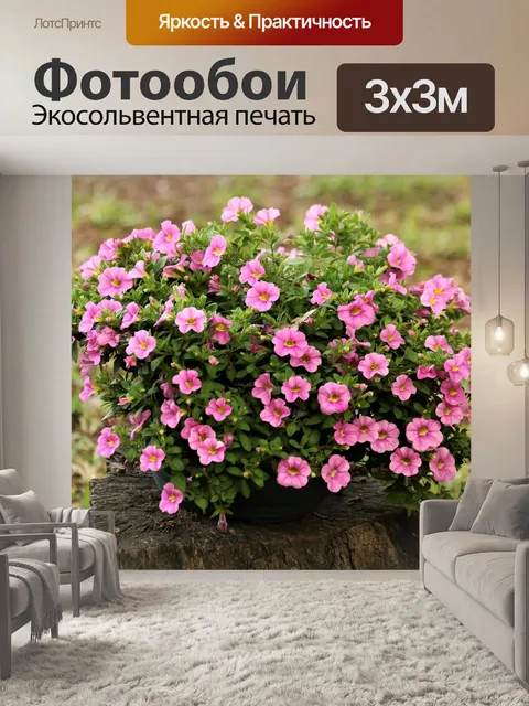 Фотообои Розовые цветы петунии в горшке