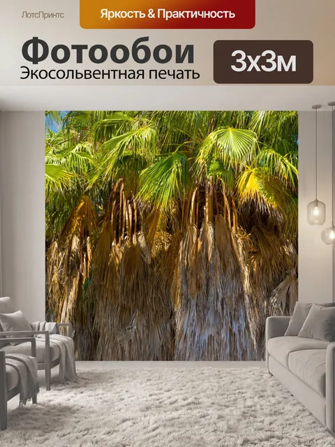 Фотообои Неоткрытые пальмы
