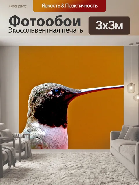 Фотообои Колибри