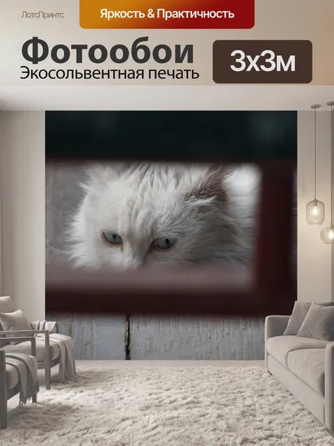 Фотообои Кошка
