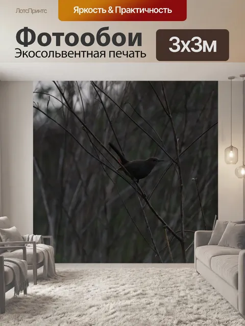 Фотообои Птица