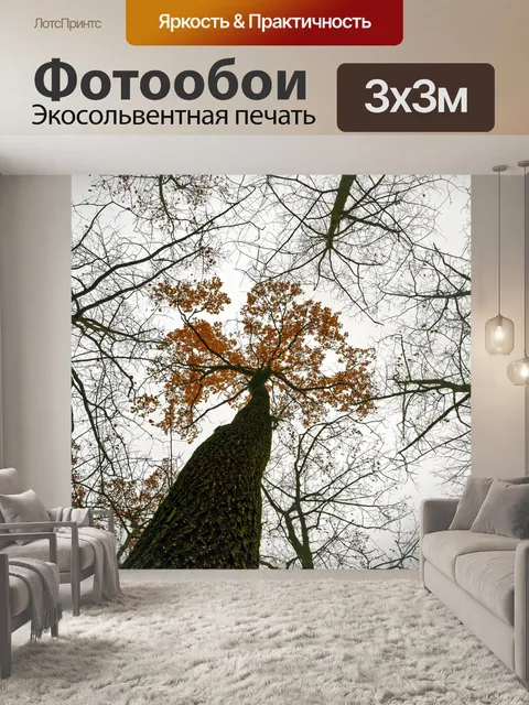 Фотообои Деревья