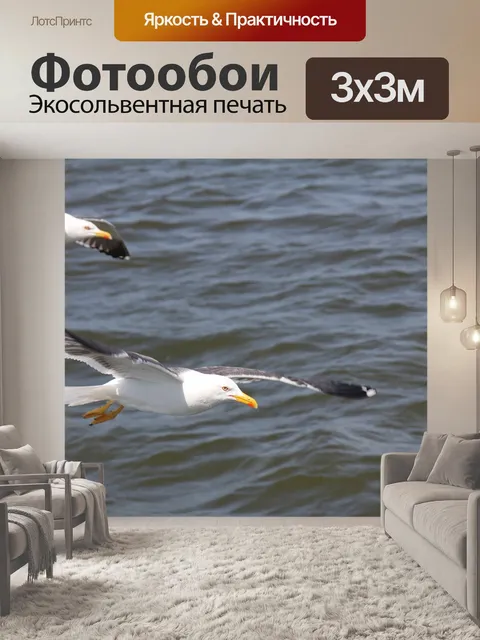 Фотообои Птица
