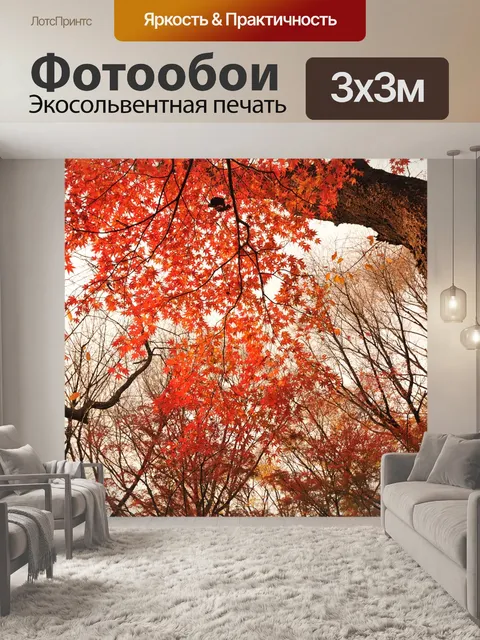 Фотообои Осенние листья