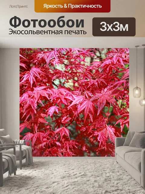 Фотообои Листья